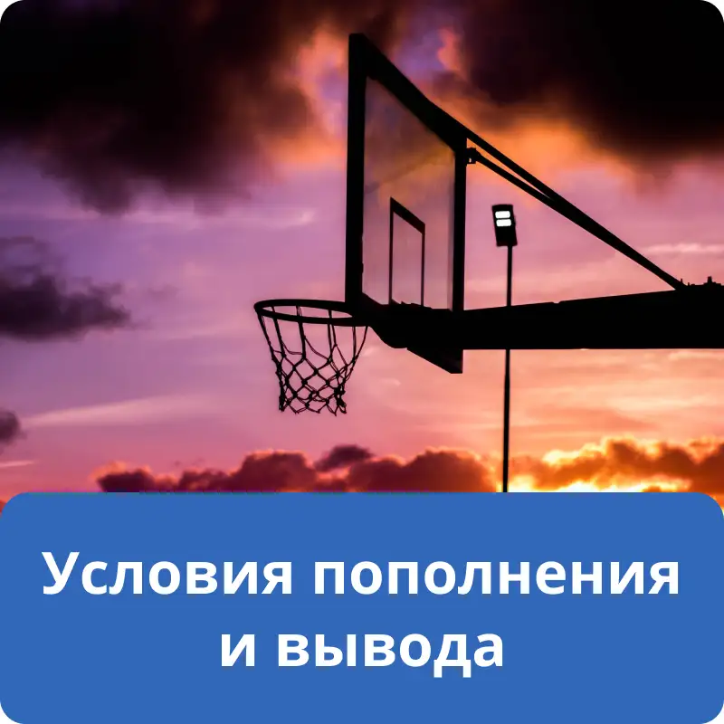 Условия пополнения и вывода Условия пополнения и вывода